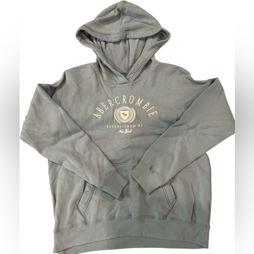 Abercrombie Kids Gray Hoodie